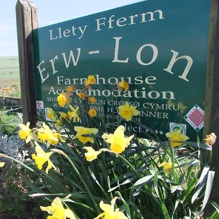 Erw-Lon Farm Bed & Breakfast Pontfaen Exterior foto