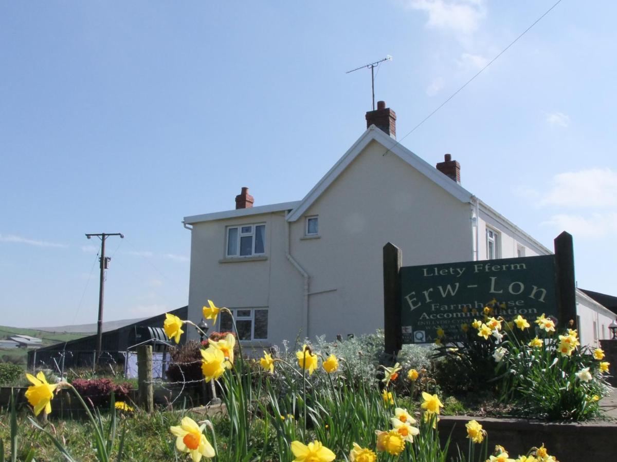 Erw-Lon Farm Bed & Breakfast Pontfaen Exterior foto
