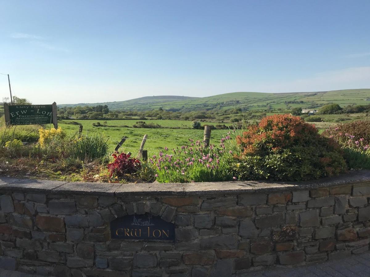 Erw-Lon Farm Bed & Breakfast Pontfaen Exterior foto