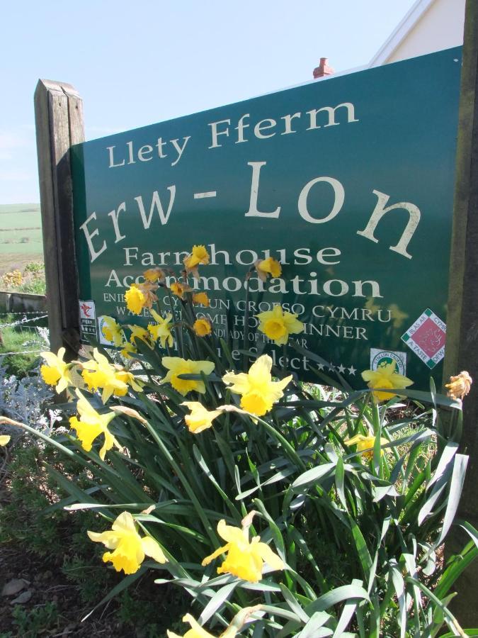 Erw-Lon Farm Bed & Breakfast Pontfaen Exterior foto