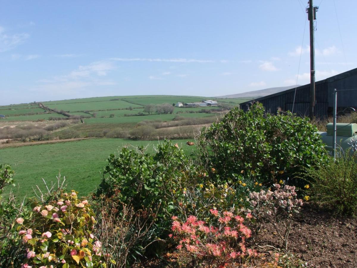 Erw-Lon Farm Bed & Breakfast Pontfaen Exterior foto